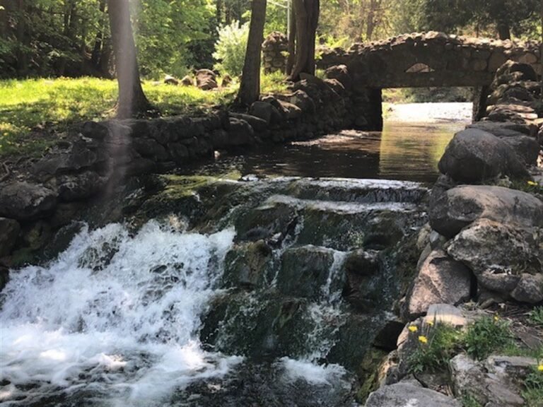 Elmwood Park
