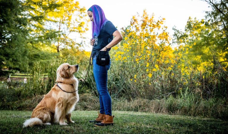Every Dog Behavior and Training (North)