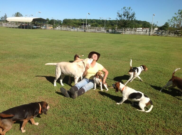 Family Dog Club