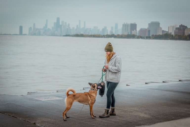 Found Chicago Boarding & Training Center
