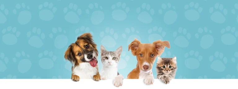 Four Paws Pet Ranch