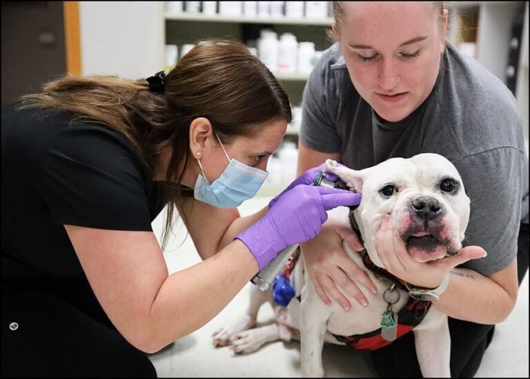 Frost Family Pet Clinic