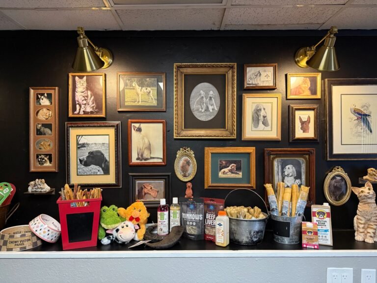 Fur babies co. Pet wash & pantry