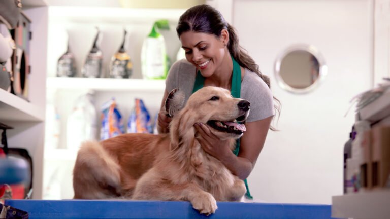 Fur-nando’s Groom Room
