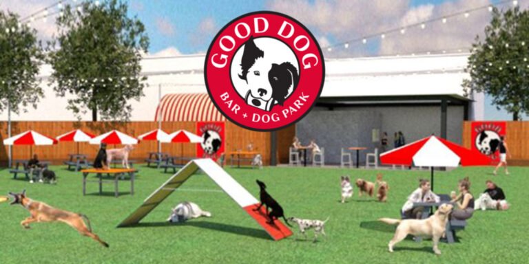 Good Dog Hotel + Bar + Park