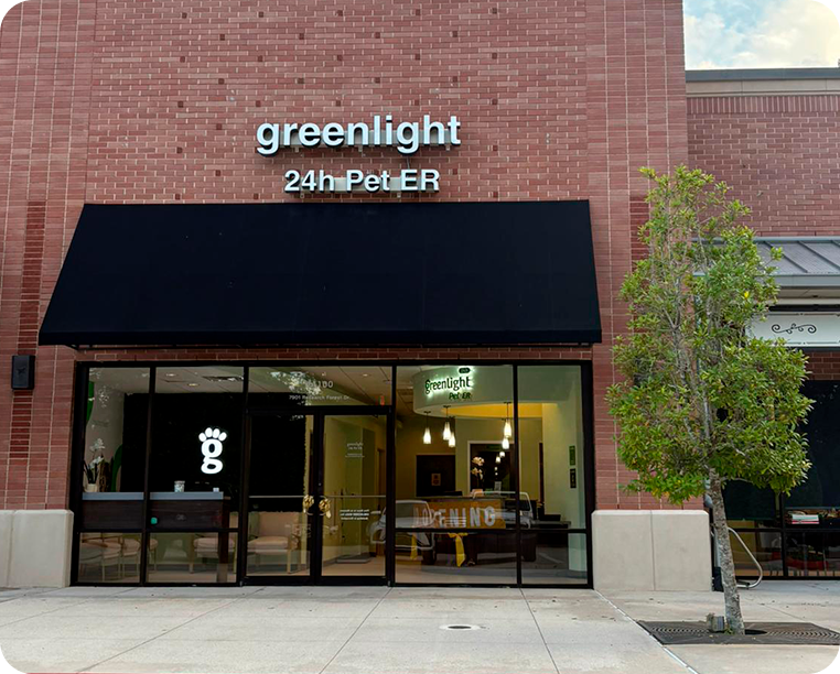 Greenlight Pet ER