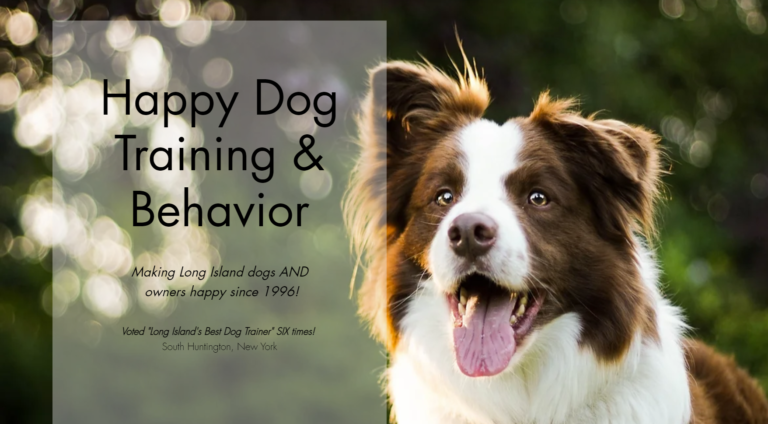 Happy Dog Training & Behavior