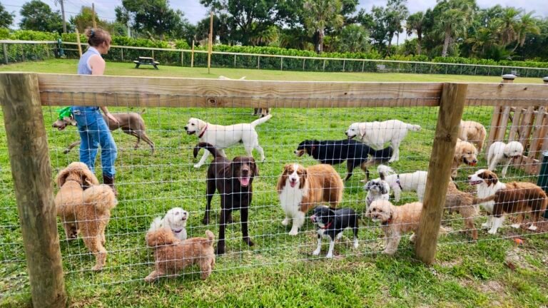 Hobe Sound Country Club Kennels