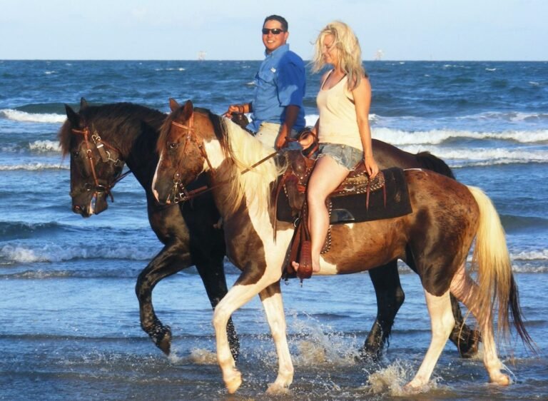Horses on the Beach
