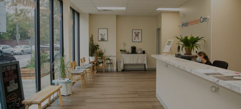 Indy Veterinary Care