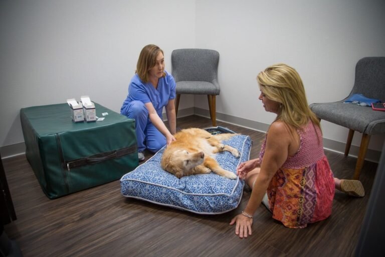 Integrative Veterinary Wellness