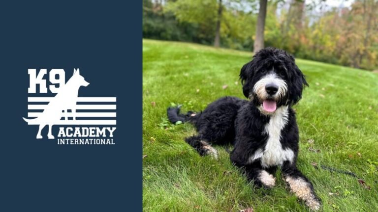 K9 Academy International,LLC