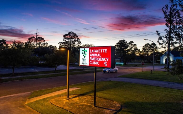 Lafayette Animal Emergency Clinic
