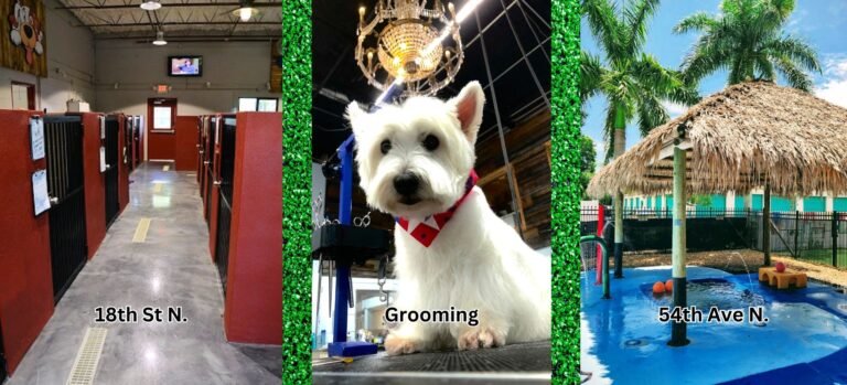 Love My Dog Resort & Waterpark