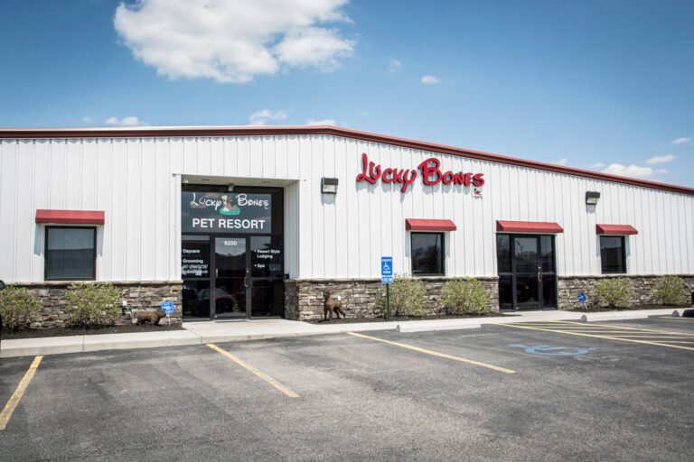 Lucky Bones Pet Resort