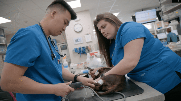 Madison Veterinary Specialists & Emergency Care