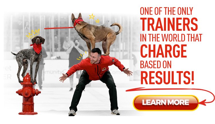 Make Your Dog Epic