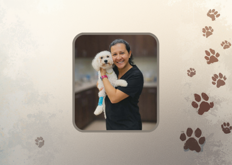 Mansfield Animal Clinic