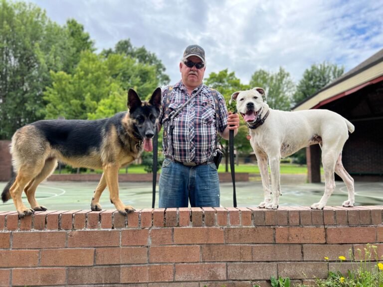 Marvin Pierce Dog Teacher LLC