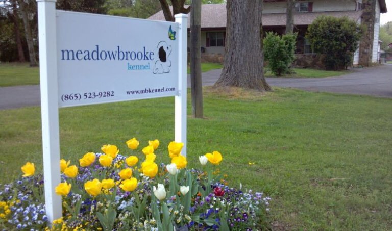 Meadowbrooke Kennels