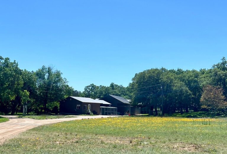 Melody’s Pet Ranch