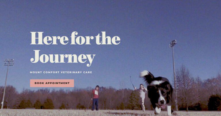 Mount Comfort Veterinary Care
