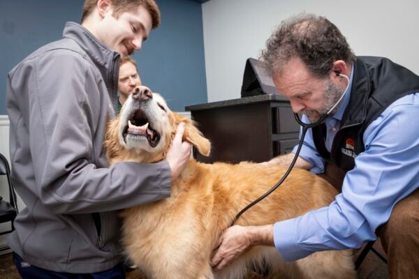 Natchez Trace Veterinary Services – Clinic & Holistic Telemedicine