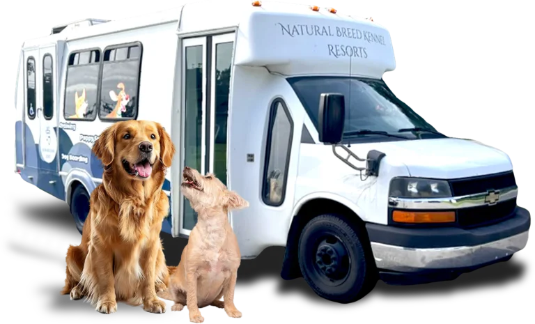 Natural Breed Kennels