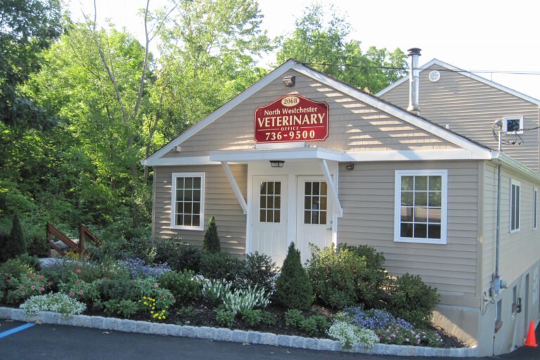North Westchester Veterinary