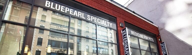 NYC Veterinary Specialists