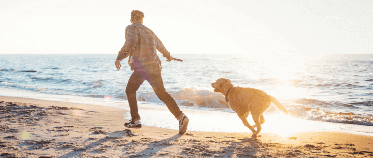 Oceanside Veterinary Clinic