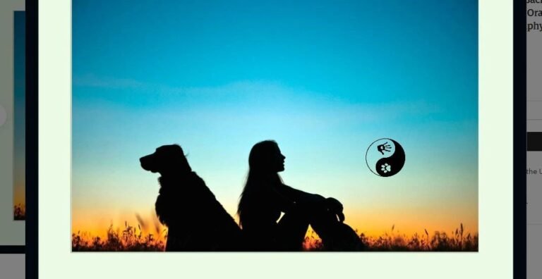 Phyre and Rayne – Dog Training