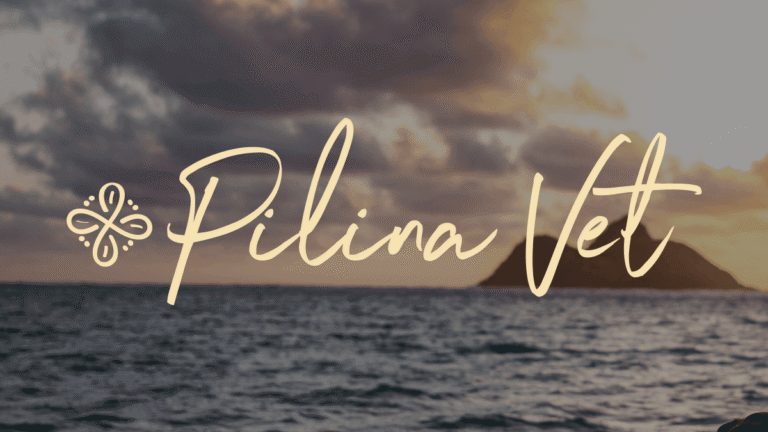 Pilina Vet
