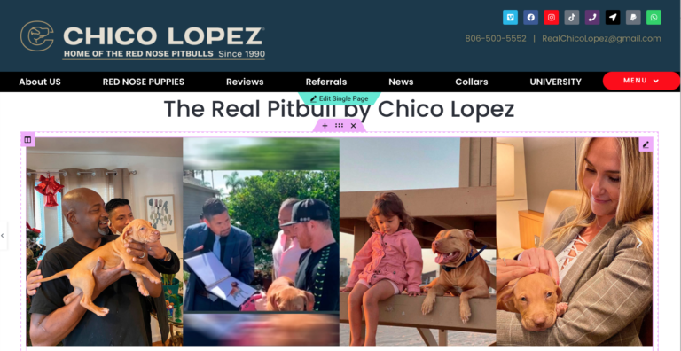Pitbull Puppies | Red Nose