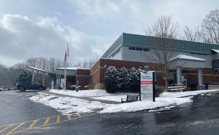 Pittsburgh Veterinary Opthalmology