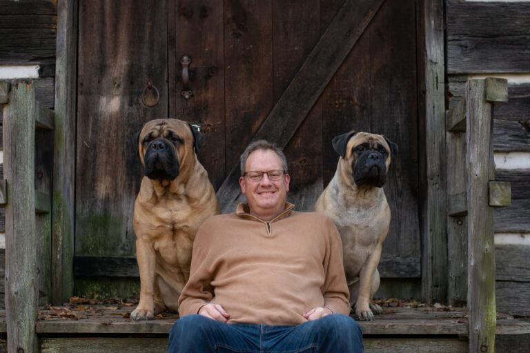 Premier Pack Dog Training and Behavior Solutions