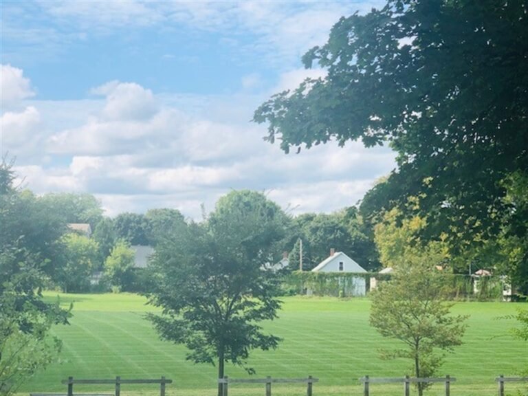 Schiller Park