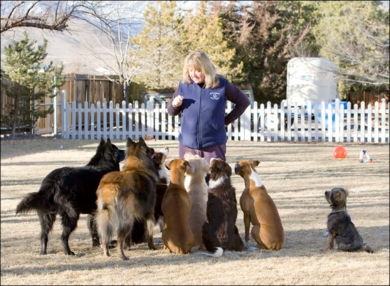 Sierra Canine Academy
