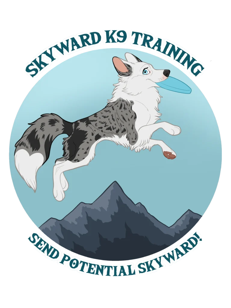 Skyward K9 Training