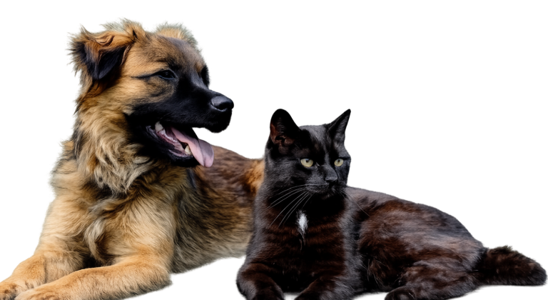 That Pet Cure