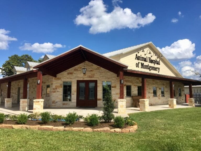 The Lodge Luxury Boarding Retreat