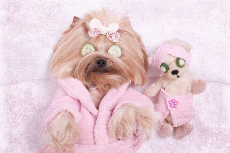 The Pampered Pup