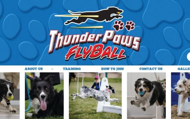 Thunder Paws Flyball
