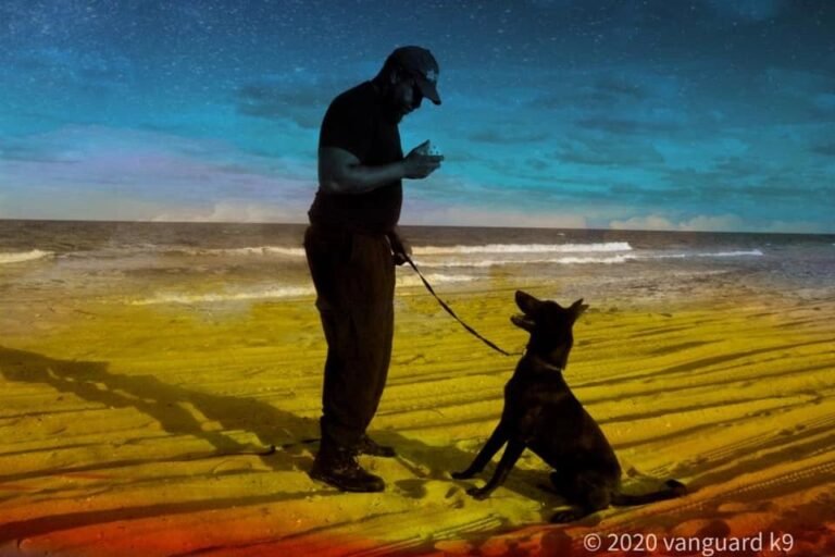 Vanguard k9