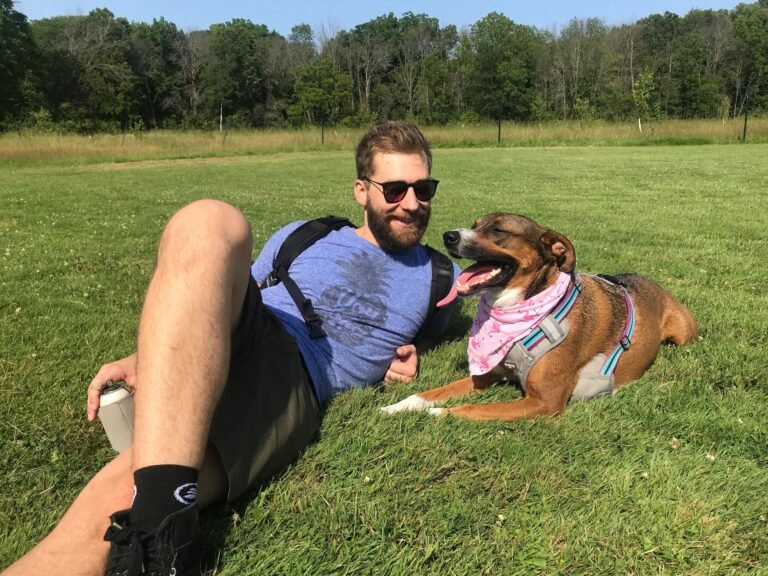 Walk The Dog Training