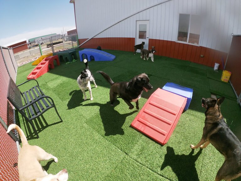 Willow Lodge Pet Resort