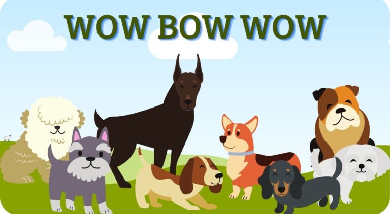 Wow Bow Wow Dog Trainer