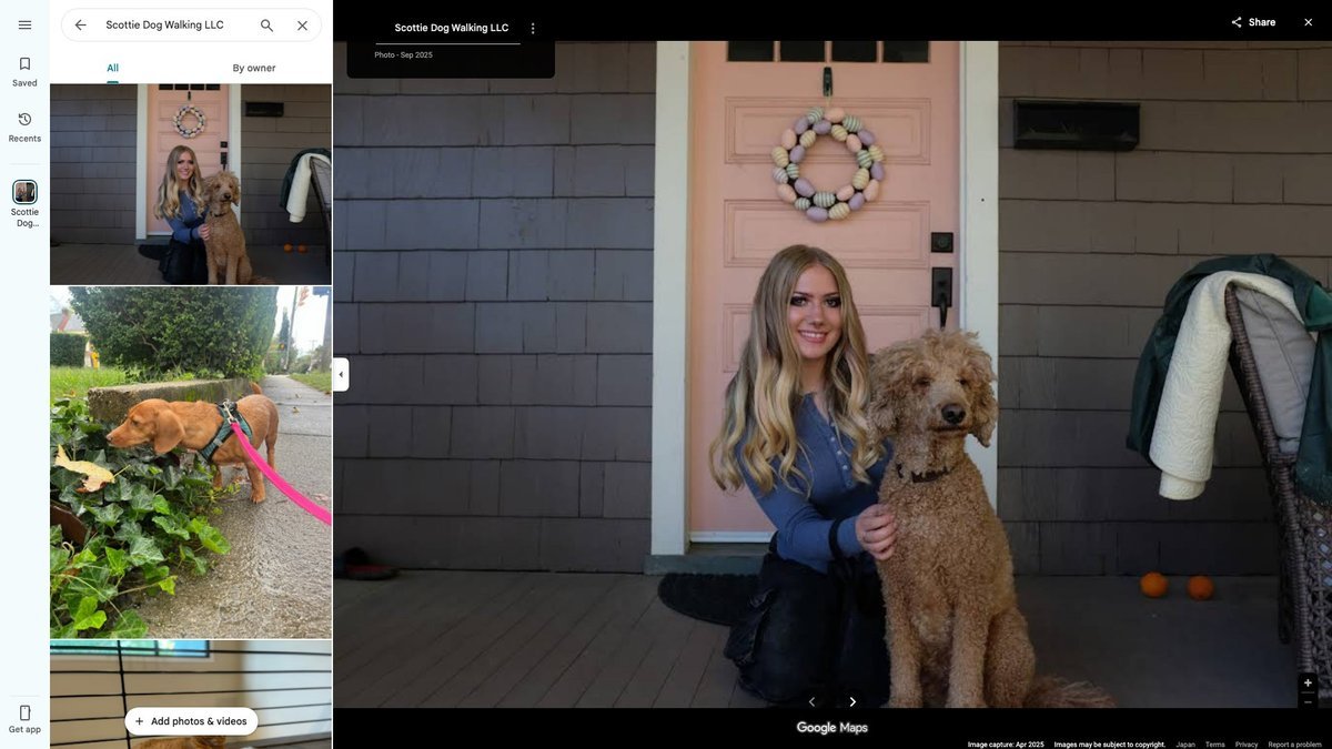 Scottie Dog Walking LLC