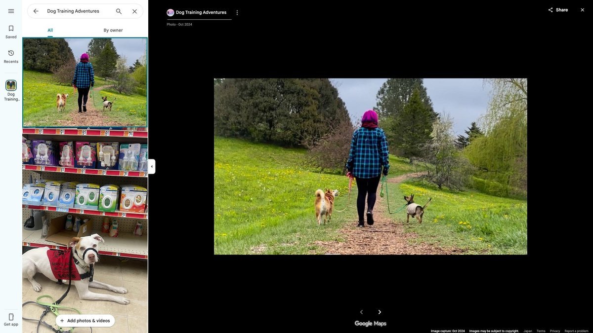 Dog Training Adventures