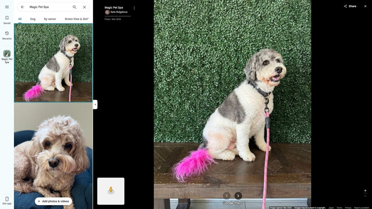Magic Pet Spa